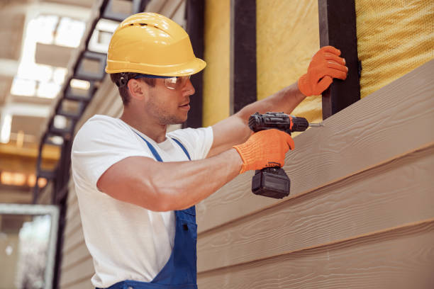 Best Custom Trim and Detailing for Siding  in Buchanan, GA