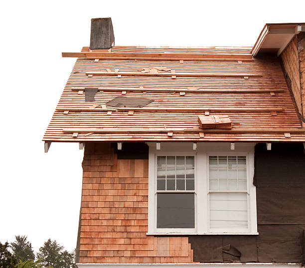 Best Siding Removal and Disposal  in Buchanan, GA